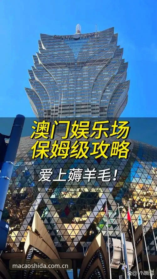 为什么说澳门十大娱乐官网入口平台官方中文站安卓版下载攻略，关键在“避开高能时刻”？